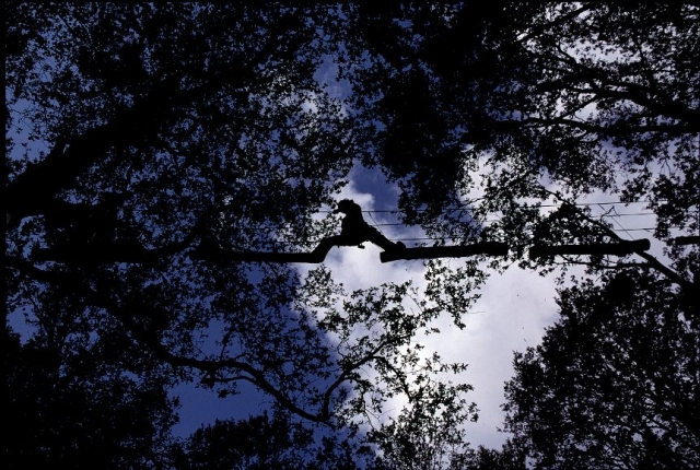  adrenaline and outdoors